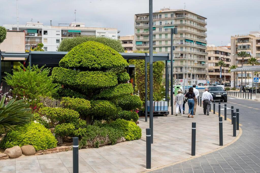 Acogedor Alojamiento A Pocos Metros De La Playa Santa Pola Eksteriør billede